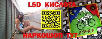 шишки Обнинск