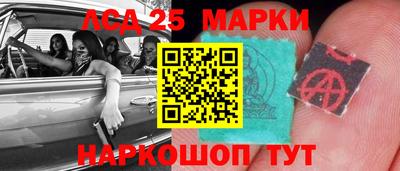шишки Обнинск
